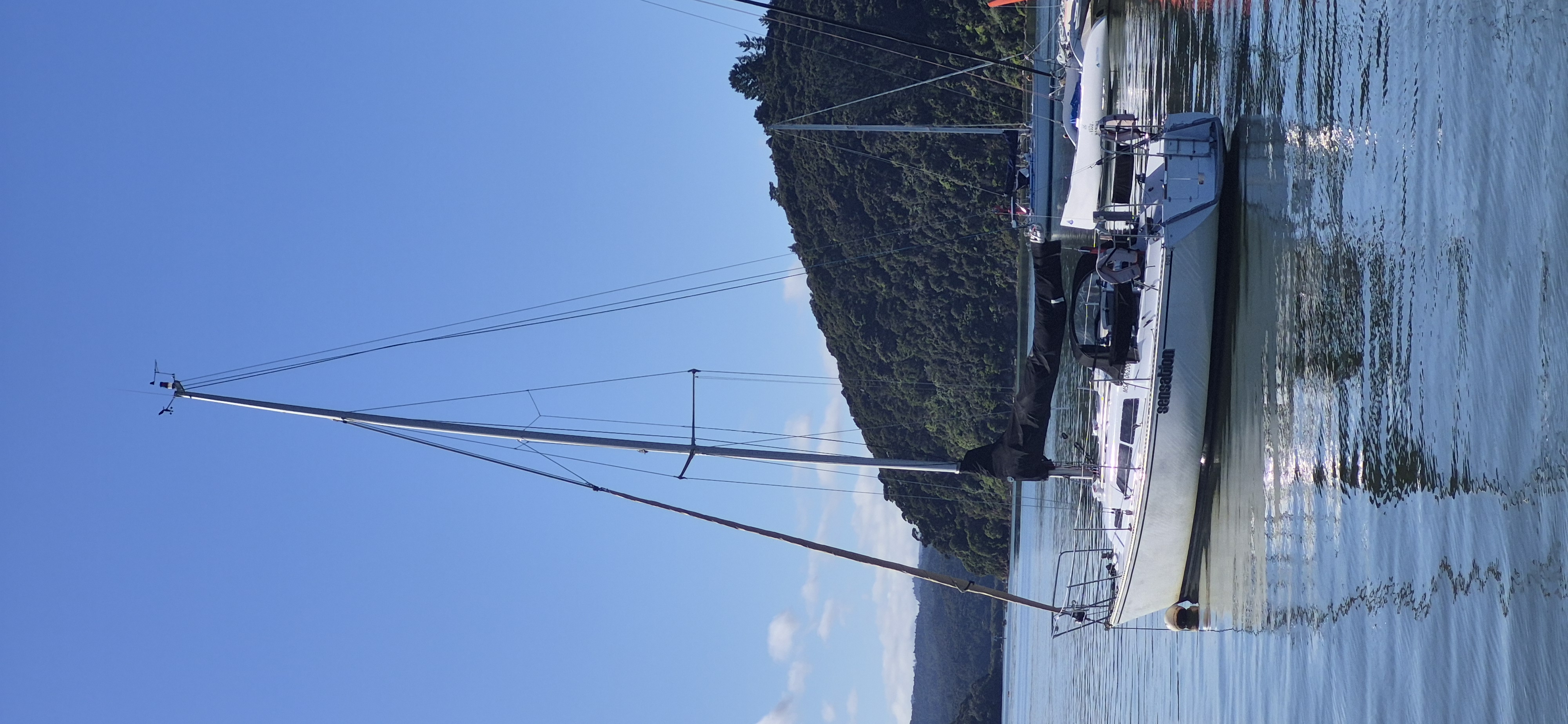 Sensation gallery image 12