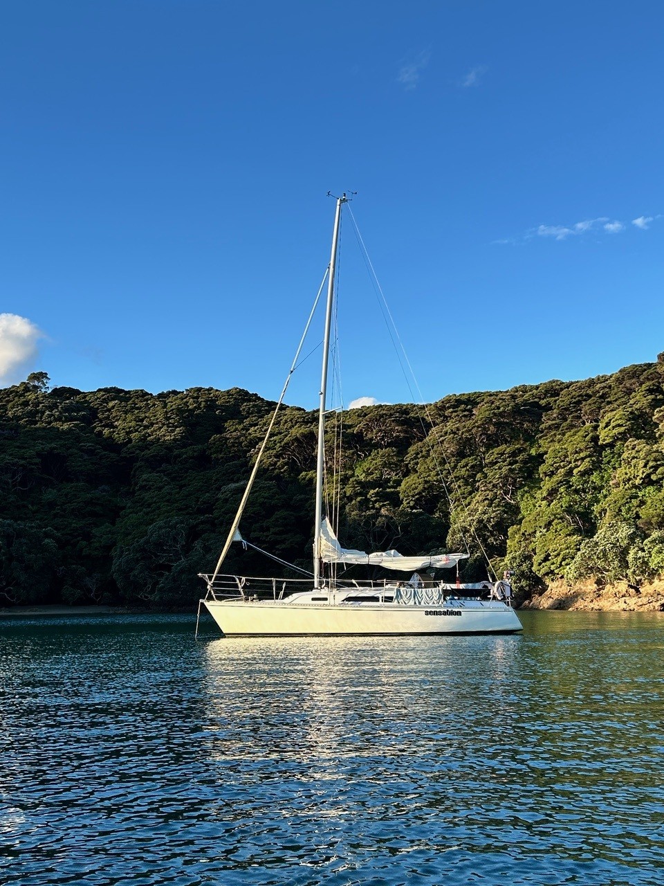 Sensation gallery image 16