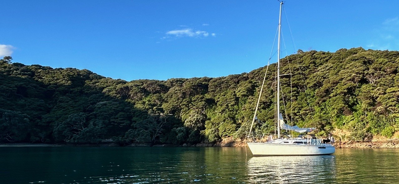 Sensation gallery image 18