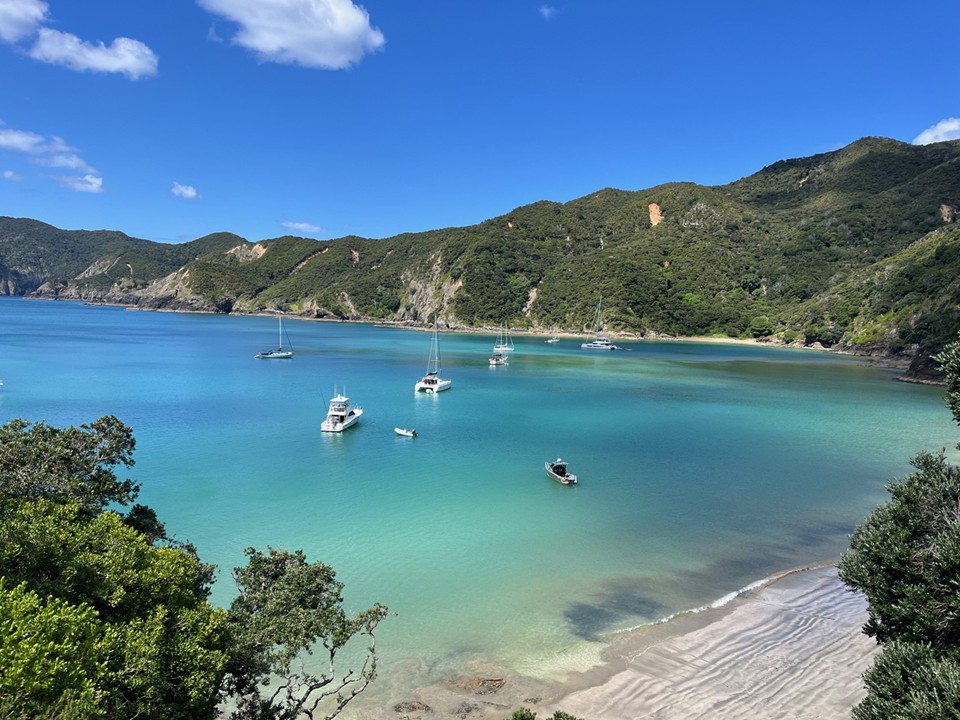 Sensation gallery image 34