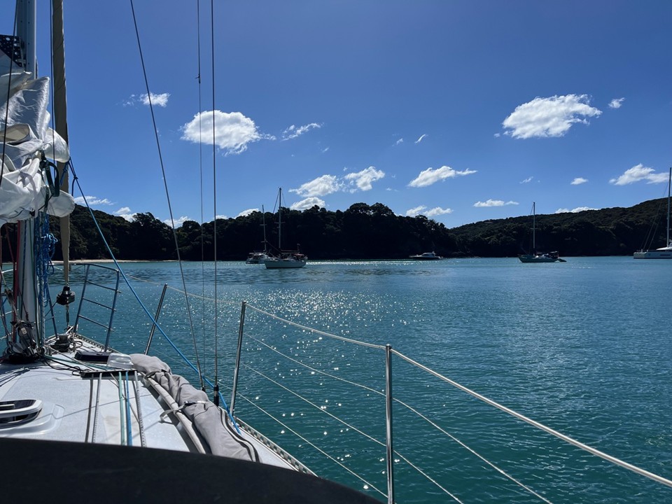 Sensation gallery image 35