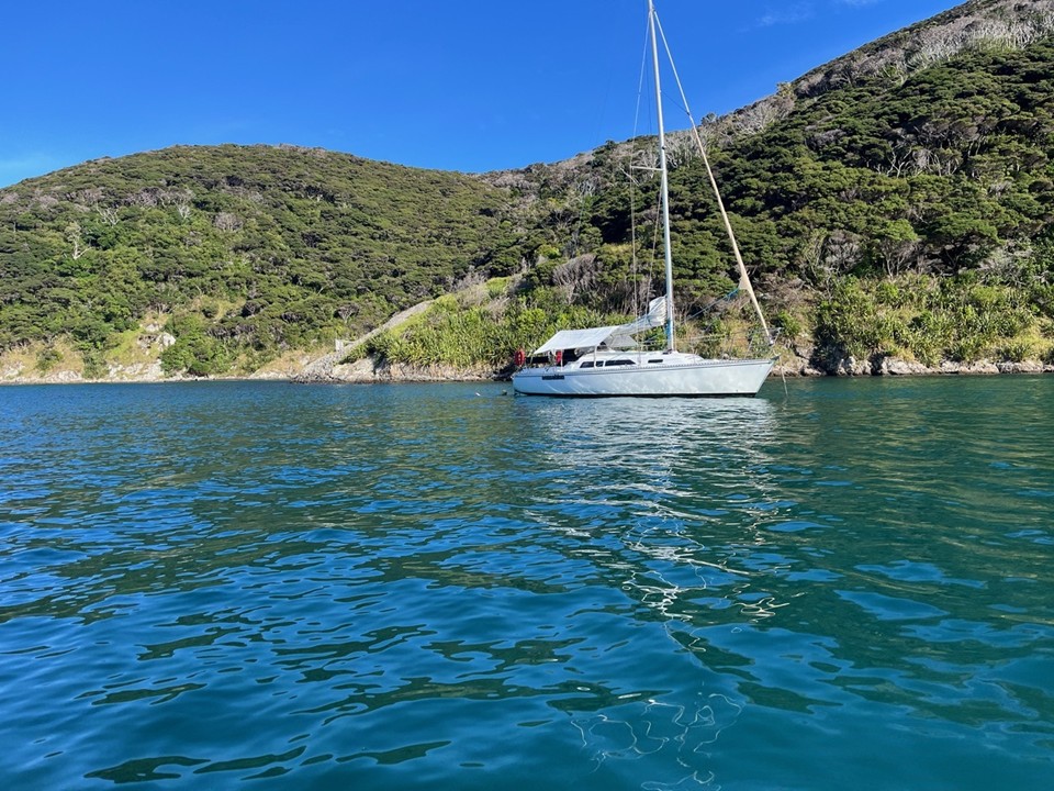 Sensation gallery image 38