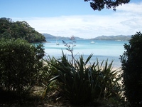Motorua - get here by hiring our NZ charter boat Sensation 