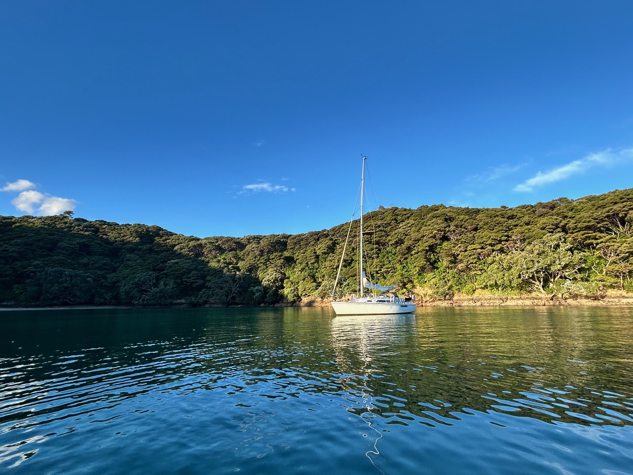 Sensation charter gallery image 10