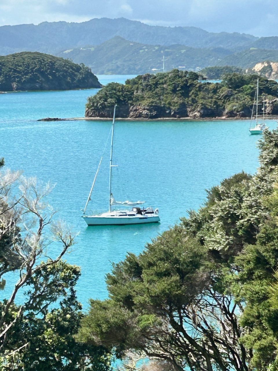 Sensation charter gallery image 7