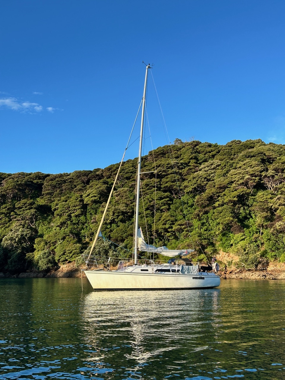 Sensation charter gallery image 9